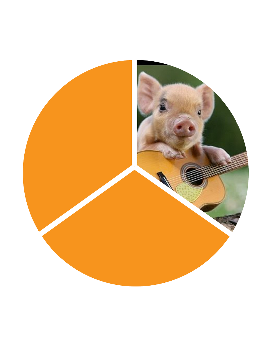 thepatchseries's tweet image. We're over two thirds of the way funded- thanks y'all!! Every bit is extremely appreciated 🎉 kickstarter.com/projects/10087…