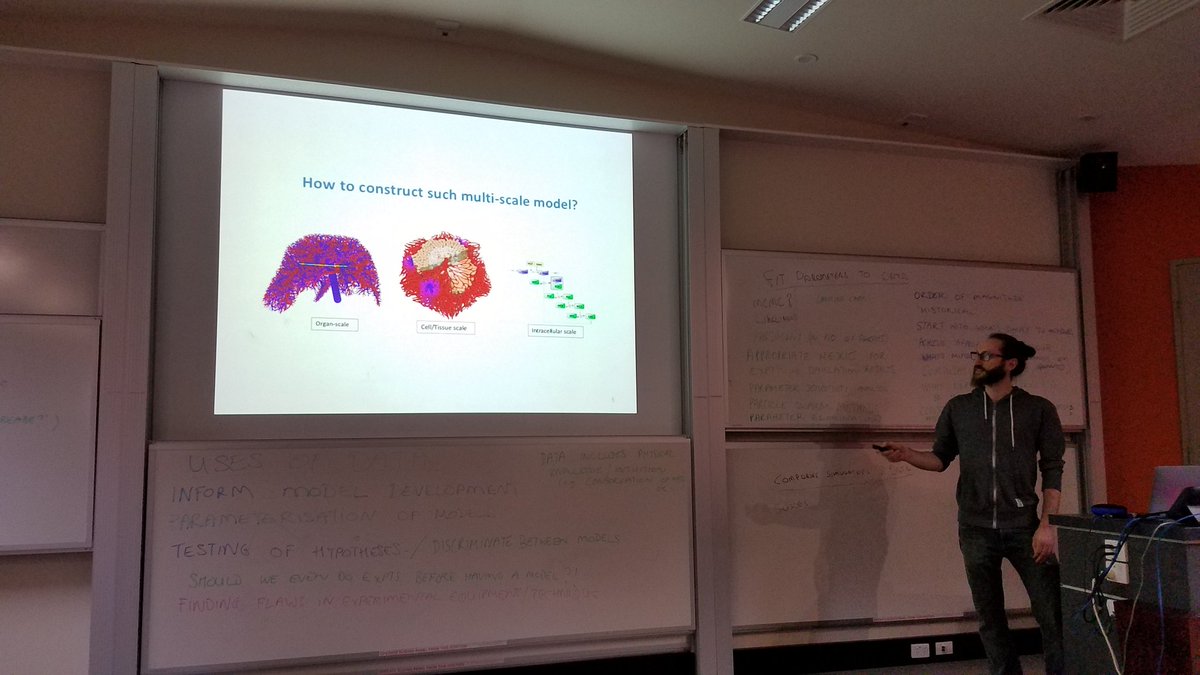 Daniel Hahne discusses multiscale modeling of liver regeneration. Huge team effort with great people like <a href="/hoehme/">Stefan Hoehme</a> et al. Beautiful imaging-driven model geometries. #matrixmcsb