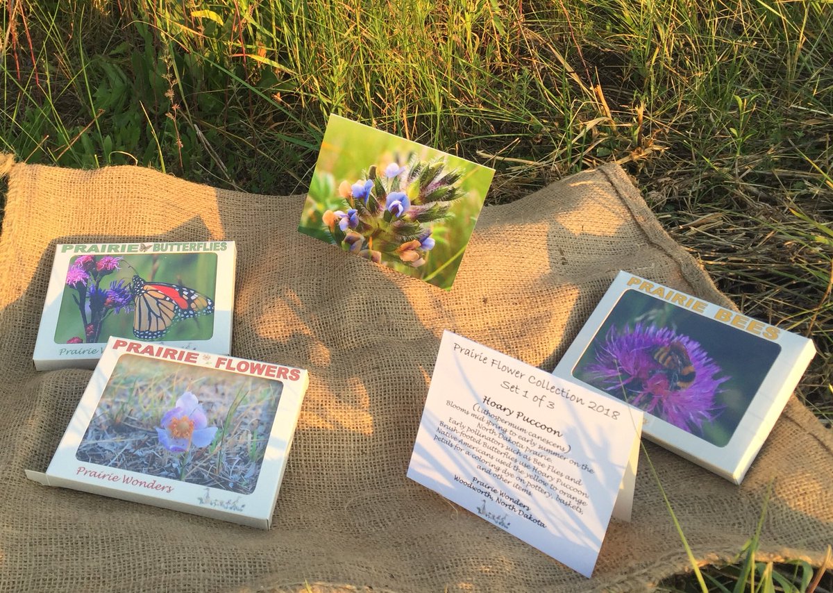 prairieguy2016's tweet photo. This week’s Prairie Challenge random selectee is Kristin Gjetdset! A box set of Prairie Butterfly note cards is heading your way! Thank you to everyone who participated and shared! The next Prairie Challenge 🐝 #prairiechallenge #NorthDakota #prairie https://t.co/xqLFDxs583