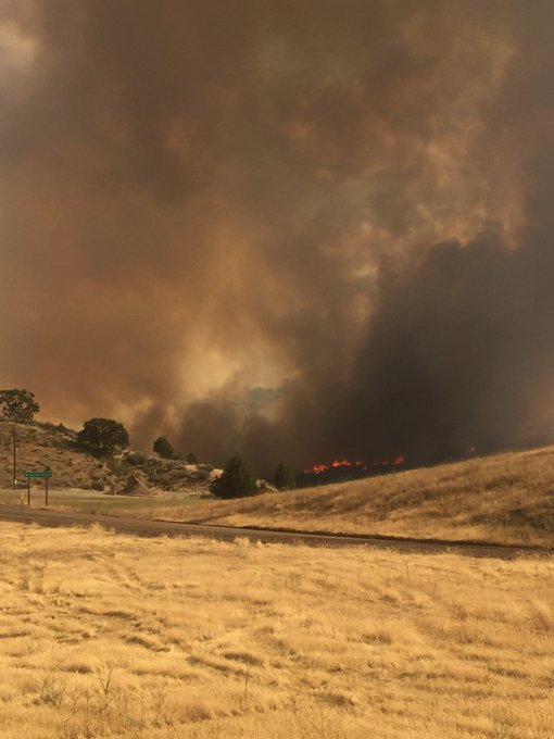 View image on Twitter