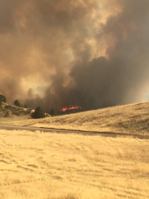 View image on Twitter