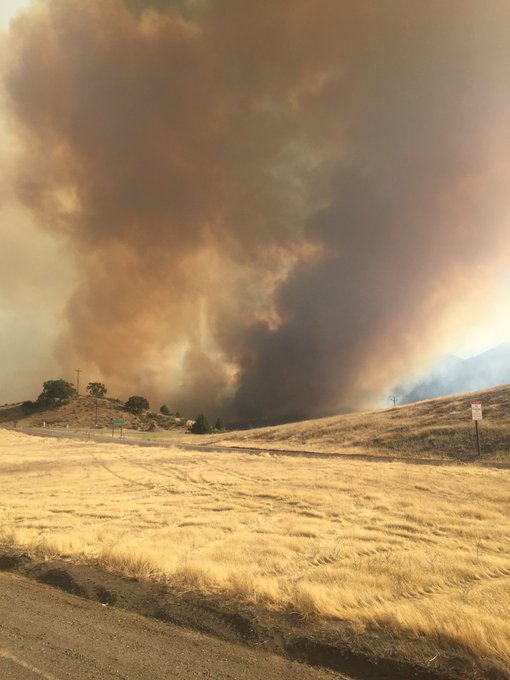 View image on Twitter