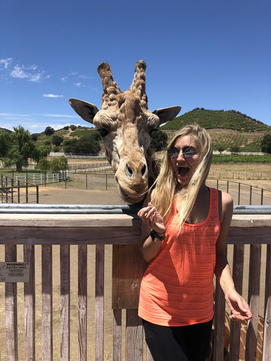 iJustine tweet media
