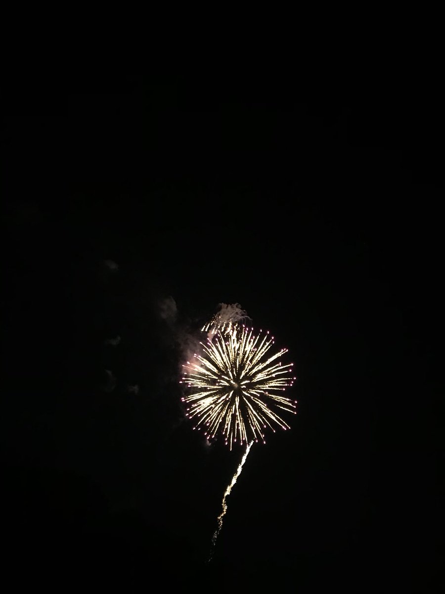 dungandonutss's tweet photo. party like itβs 1776?πΊπΈ #usaaa https://t.co/6pxQdkpdDx