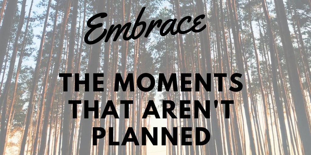 One of the best parts of teachings are the unplanned moments. The mistakes that are made, lessons that fail and things that come out of student's mouths that just cause you to pause. Each day is a new adventure. Embrace these unplanned moments!