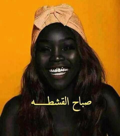 mido71_moh's tweet photo. https://t.co/Yh2f4z4l5N