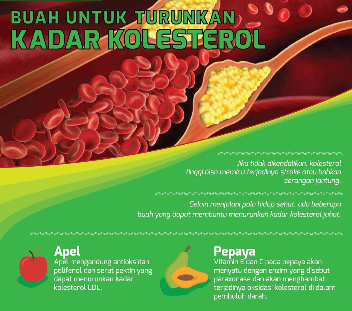 badansdm's tweet photo. Pagi SobaTani,  di #JumatBerkah kali ini, Mintan akan berbagi Info Buah yang baik di konsumsi untuk, turunkan kadar kolesterol, ada Apel, Pepaya, dan lainnya cc: @kementan #Bekerja #SepenuhHati #AsianGames2018 https://t.co/jPgi6rH6Yk