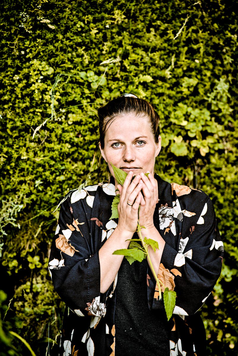 troelso's tweet image. Hos Mette Dahlgaard og Gemyse græsser ulven ved siden af lammet og løven æder strå. Det er et skønt bud på fremtidens restaurant, hvor plantesaft giver blodets bånd kamp til stregen. bit.ly/2MNxQoA