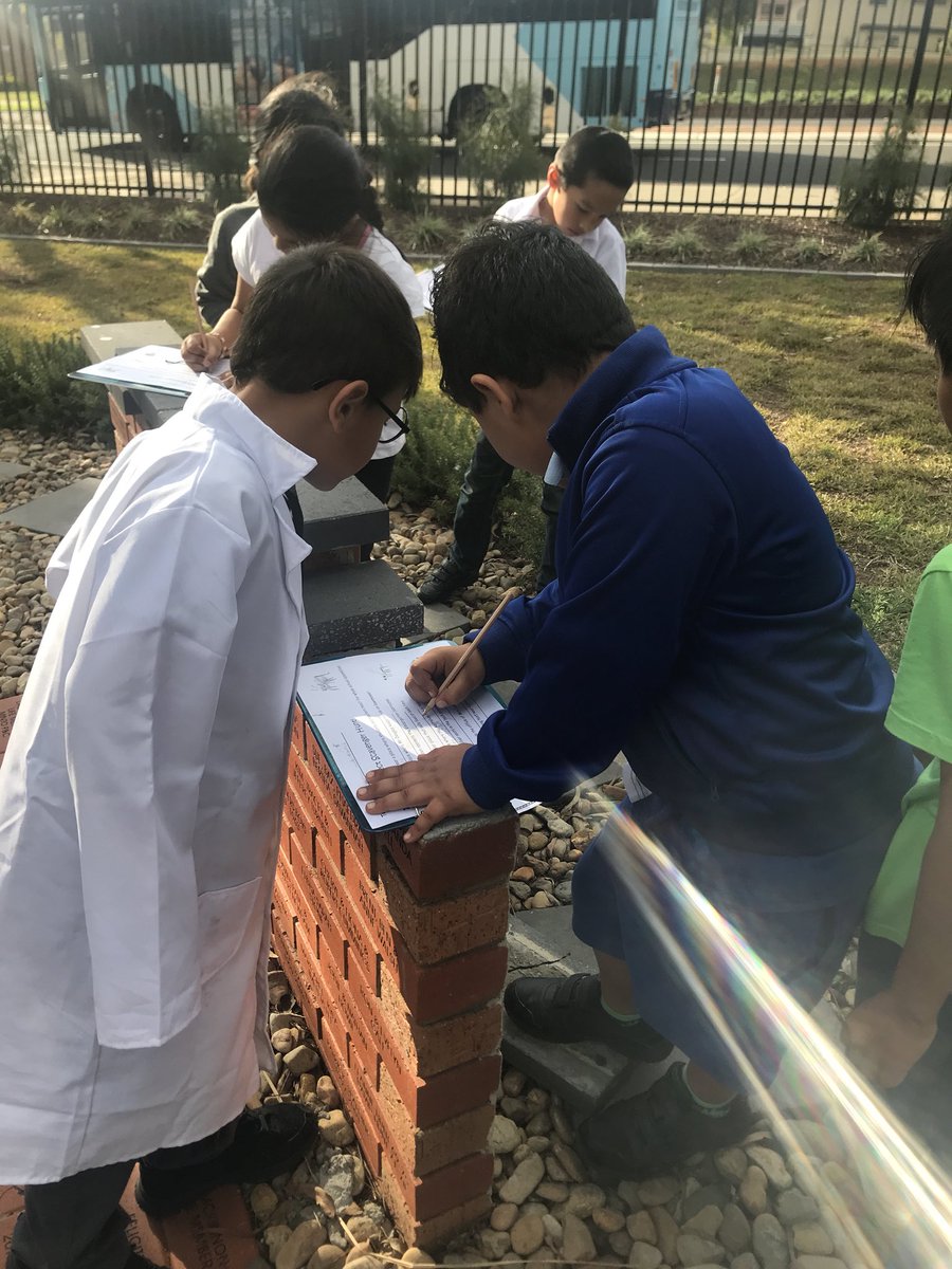Our insect scavenger hunt was a lot of fun too!! A great way to conclude our day ☺️ <a href="/Minto_P_S/">Minto Public School</a> <a href="/VickiCraze/">Vicki Craze</a> <a href="/BenoticDebra/">Debra Benotic</a> #insectday