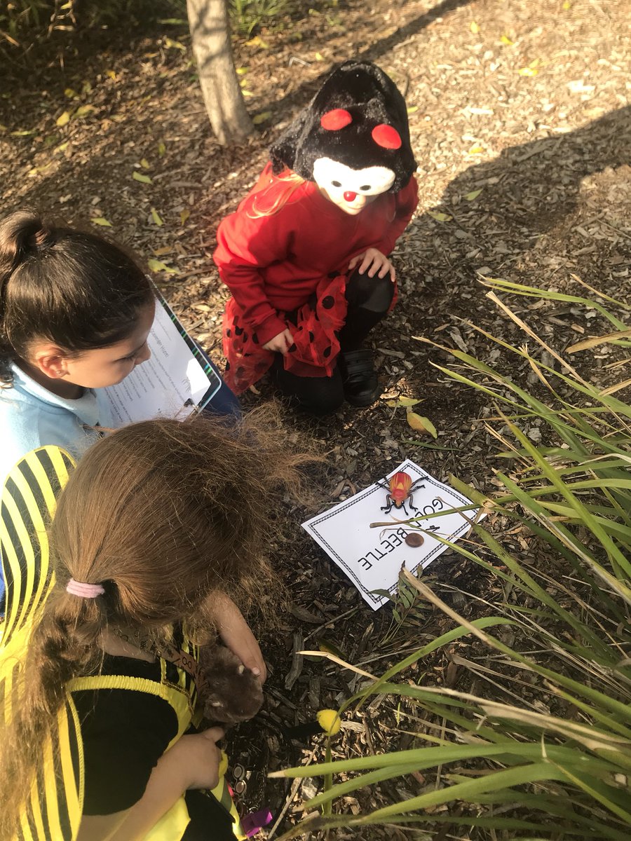 kate_tishler's tweet photo. Our insect scavenger hunt was a lot of fun too!! A great way to conclude our day ☺️ @Minto_P_S @VickiCraze @BenoticDebra #insectday https://t.co/QUFFUPnrnL
