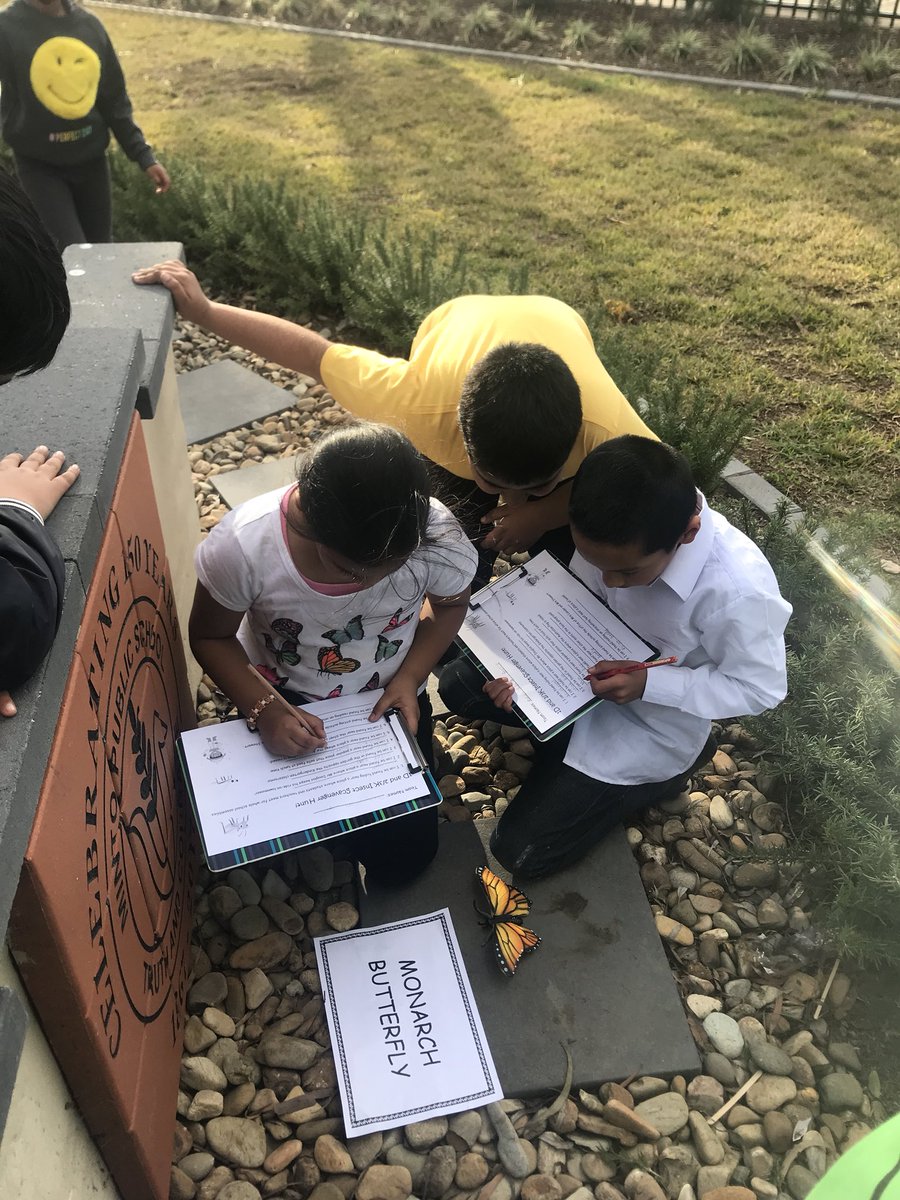 kate_tishler's tweet photo. Our insect scavenger hunt was a lot of fun too!! A great way to conclude our day ☺️ @Minto_P_S @VickiCraze @BenoticDebra #insectday https://t.co/QUFFUPnrnL