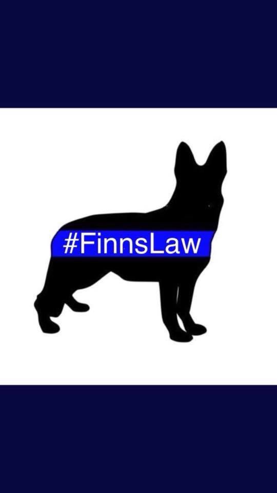 K9Finn's tweet image. #finnslawfriday 

Is today the day 🐾🤞

I hope so, we really need #Finnslaw 

A law that actually means something when offenders are charged 🐾

Fingers and paws crossed 👍

#Finnslaw #FabulousFinn #FinnForChange