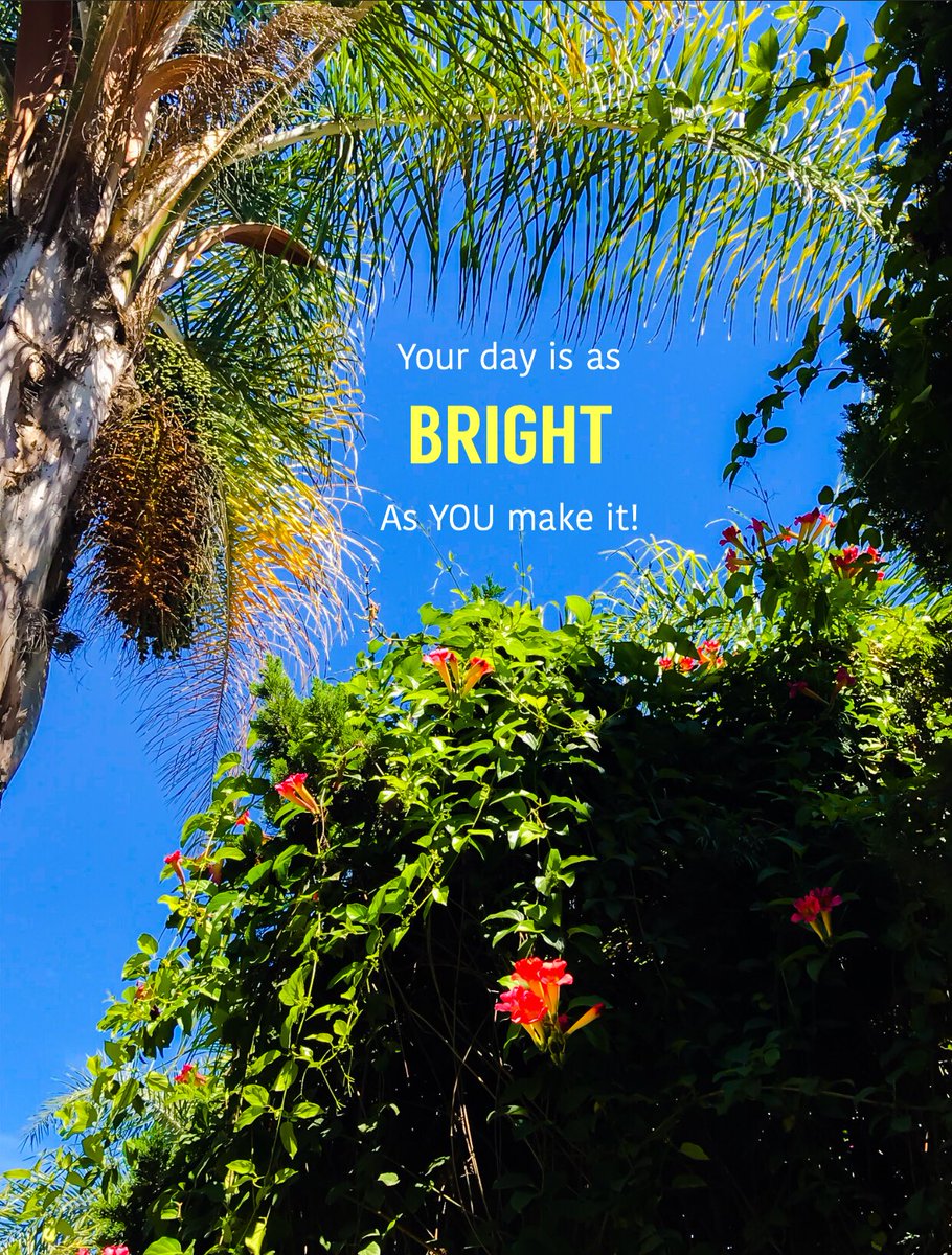 jonstatham's tweet photo. #staypositive #positivity #30daysinger #musicproducer #songproduction #grantcardone #elenacardone #10X #jonstatham #singer #artist #songwriter #musicrow #bmi #ascap #sesac #music #billboard #grammys #americansongwriter #losangeles #hollywood #rockstar #guitarplayer https://t.co/KslvpB6vja