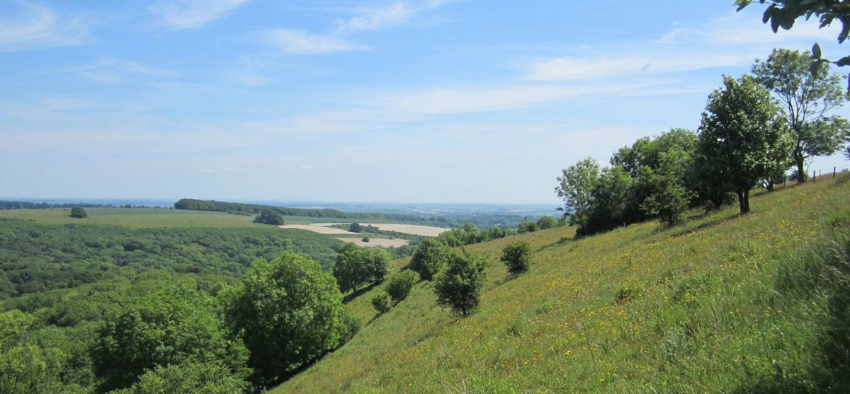 Win Green, the highest point in Cranbourne Chase. Cecil Beaton lived in a house in its foothills, which was then bought by Madonna. The photos show the walk up to the summit, and me & my mother admiring the spectacular views.  #VisitWiltshire