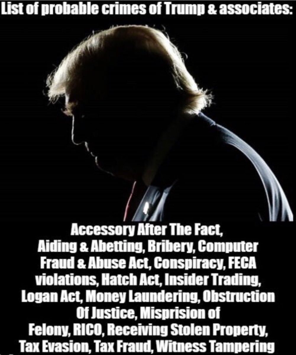 BigBlueWaveUSA's tweet photo. @realDonaldTrump THE TRUMP LEGACY #ObstructionOfJustice #Treason #MoneyLaundering #Conspiracy #TaxEvasion #WitnessTampering #Bribery #Blackmail #Adultery #SexualAssault #Racism #RICO #MisprisionOfFelony #HatchAct #Kidnapping #FECAViolations #Immoluments #Bigotry #Fraud #Pedophilia #DraftDodger https://t.co/ELRuz0I8Rz