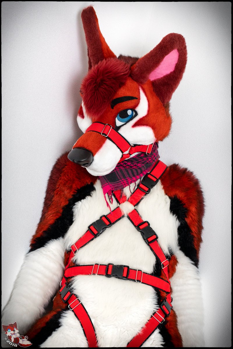 KayJay (@kayjayfin) on Twitter photo ๐ ~Good boy~ ๐
๐พ #FursuitFriday ๐พ
โค๏ธ <a href="/MadeFurYou/">Made Fur You</a> โค๏ธ
๐ฅ Harness by: <a href="/Crunchy_Curl/">crunchy_curl</a> ๐ฅ ๐ ~Good boy~ ๐
๐พ #FursuitFriday ๐พ
โค๏ธ <a href="/MadeFurYou/">Made Fur You</a> โค๏ธ
๐ฅ Harness by: <a href="/Crunchy_Curl/">crunchy_curl</a> ๐ฅ