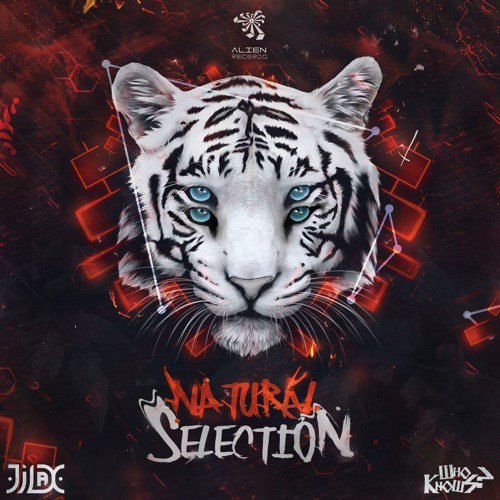 JointMediaMusic's tweet photo. 09. @WhoKnowsMusic &amp; Jilax - Natural Selection (Original Mix) [@Alien_Rec] | #SC003 hosted by @BassamJalid @TempoRadio1 #Psytrance https://t.co/pVhpDUMbaK
