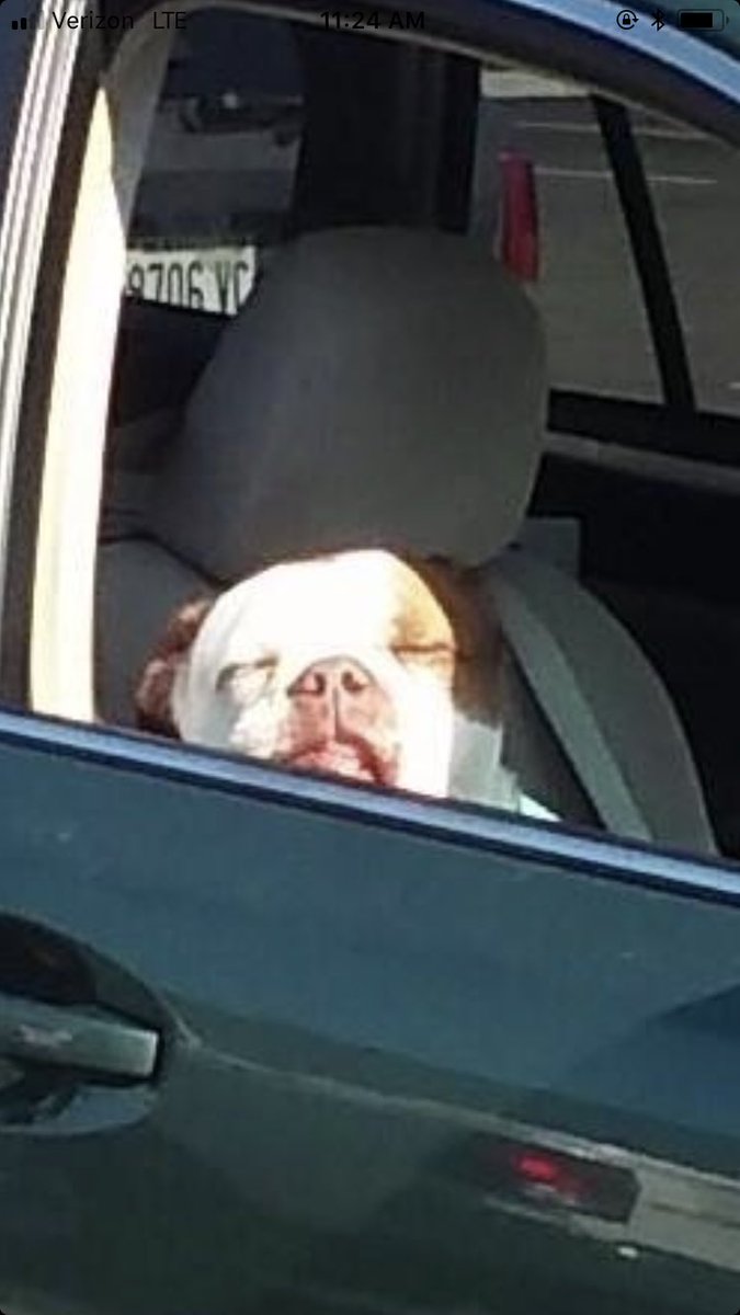 bröther may i have the ʷᵃʳᵐ ˢᵘⁿ ᵇᵉᵃᵐ