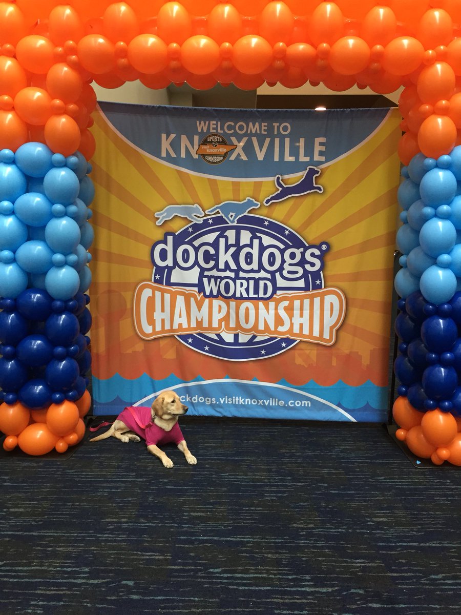 leapingmaise's tweet photo. Can’t wait to go back to Knoxville for @DockDogsINC World Championships again!! The Invite Fairy visited me in January; now to get one for Scout! #bluedockdogs #dockdogs #bluebuffalo #coolaidrecovery #notallathletesarehuman #DDWC18 #Knoxville https://t.co/HfZ77rczLW