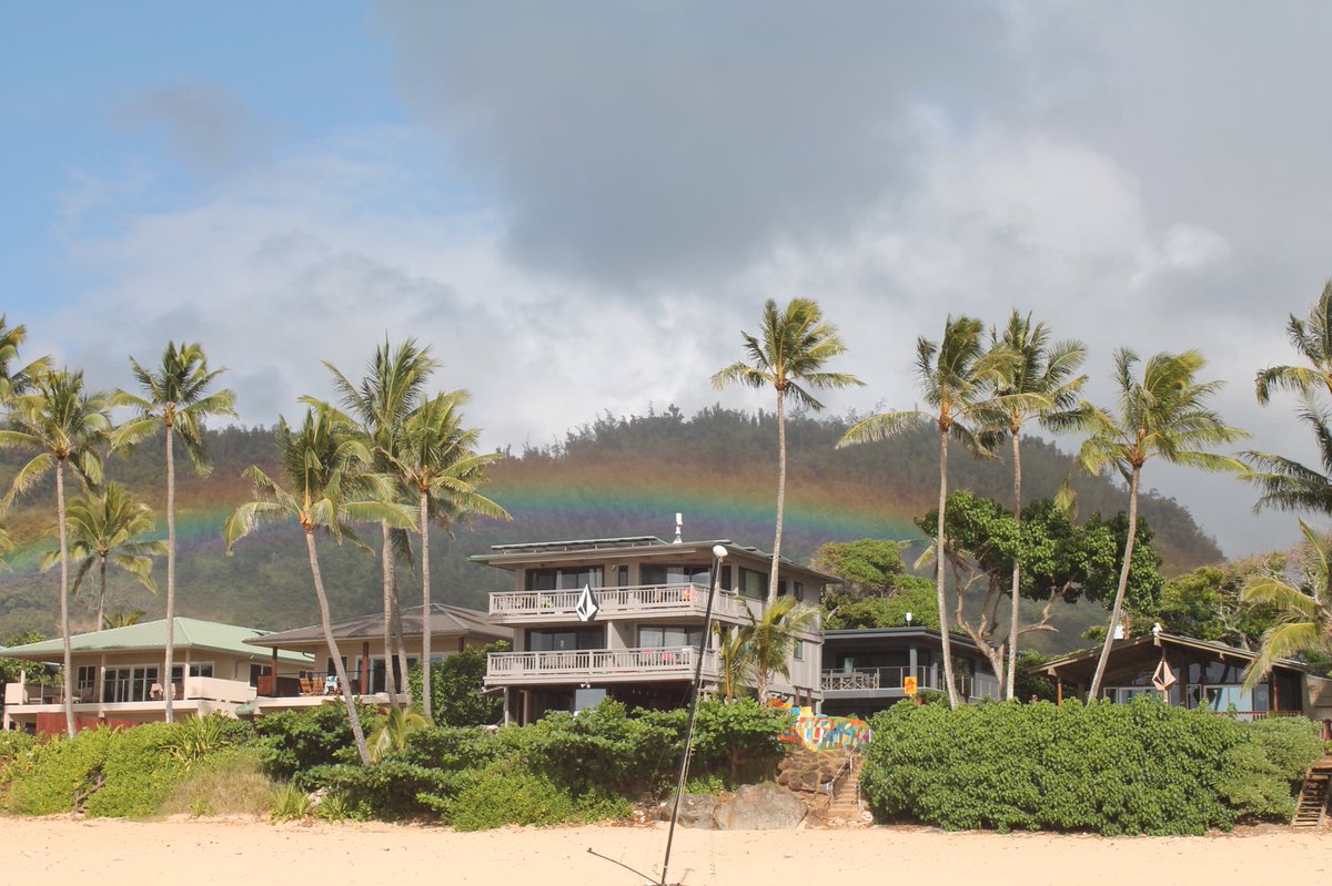 HarperDelaney's tweet photo. Lil late but still good ..... 🌴🌈 https://t.co/wShKcjKYa5