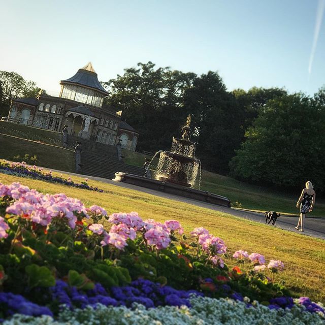 Magicalogical tweet media