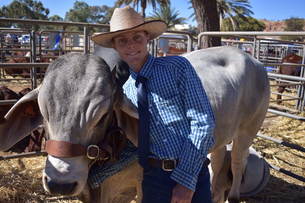 katrina_beavan's tweet photo. Congratulations William Weir from Ammaroo Station! His bull (named Texas) won champion NT bred bull at the #AliceSpringsShow 🐮🏆 https://t.co/KE7GGF2fNT