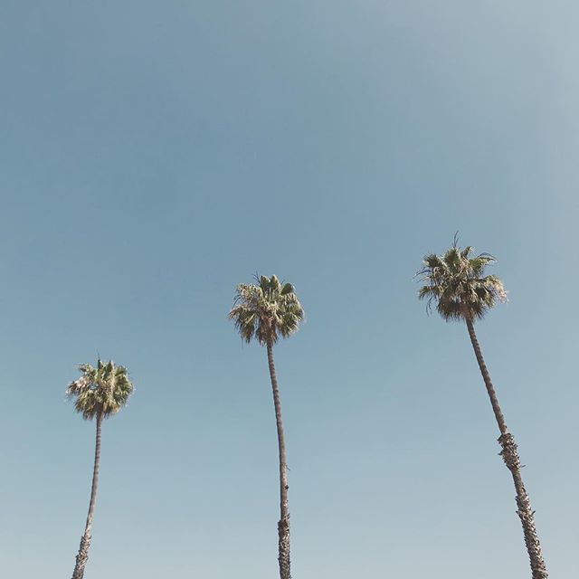 Brian Bailey tweet media