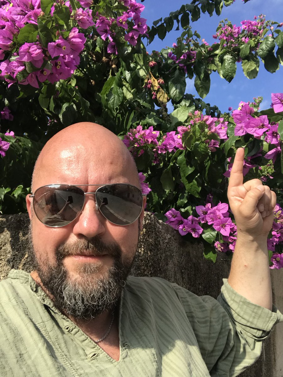 Bordermort's tweet image. Bougainvillea, I think! 😊@theSamOutlaw