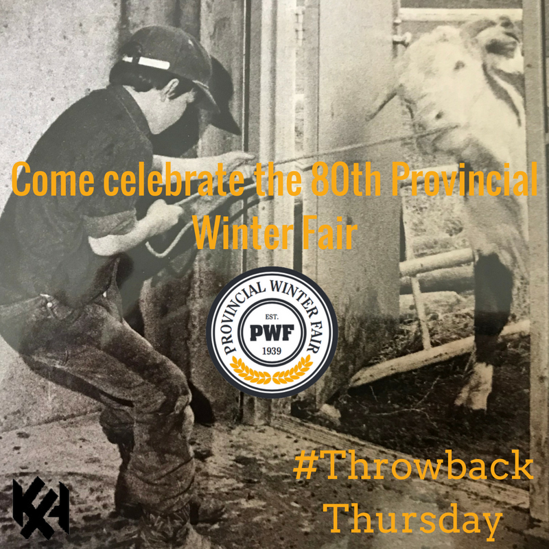PWFKamloops's tweet photo. It's that time again! #TBT to guess the year and the exhibitor with the reluctant steer (and a contribution to the Horn Fund!). Retweet with your guess to win!
#80YearsofCountryintheCity
#Throwback
#80thPWF
#BC4H
@Official4HBC https://t.co/QHUbJo1yA5