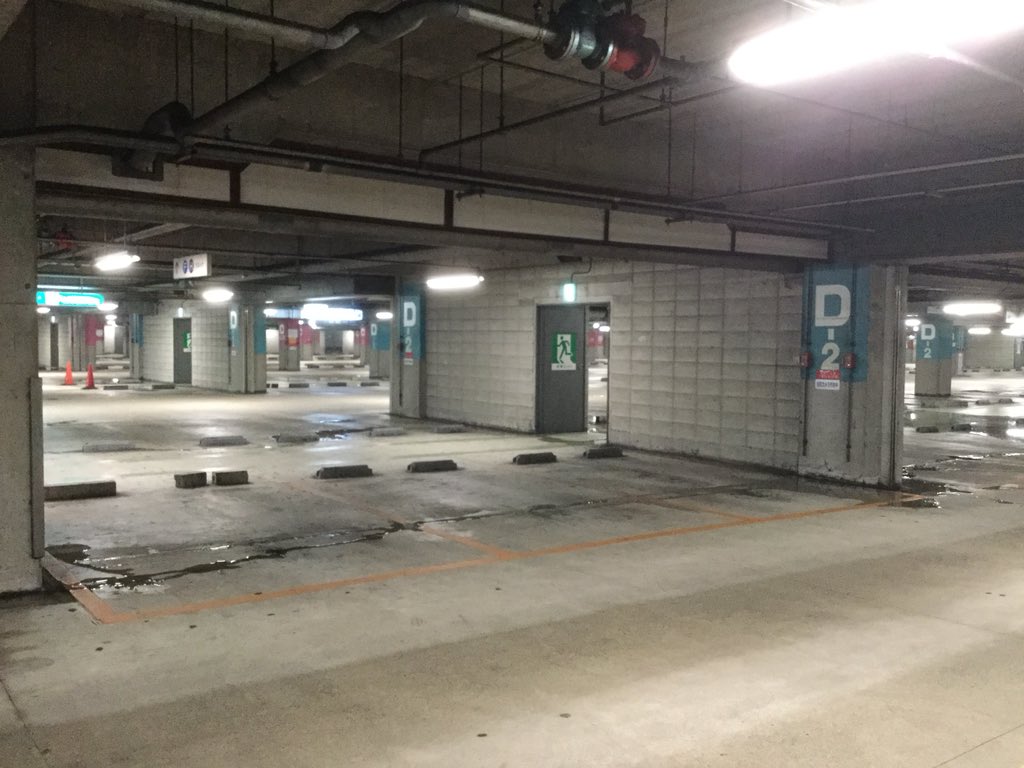 パームシティ パームシティ