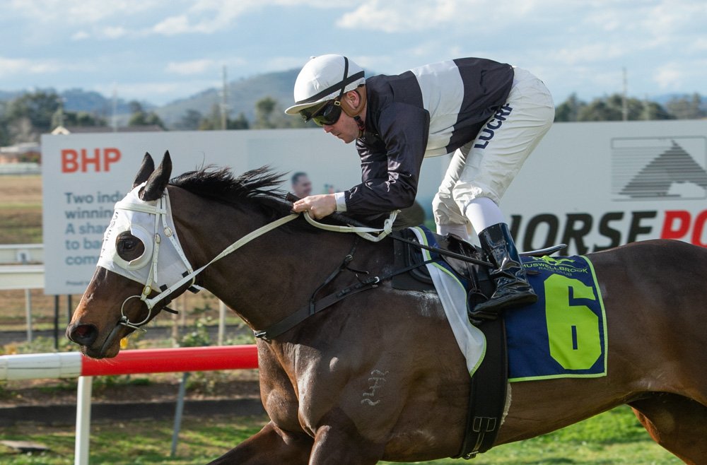 Muswellbrook Race Club tweet media