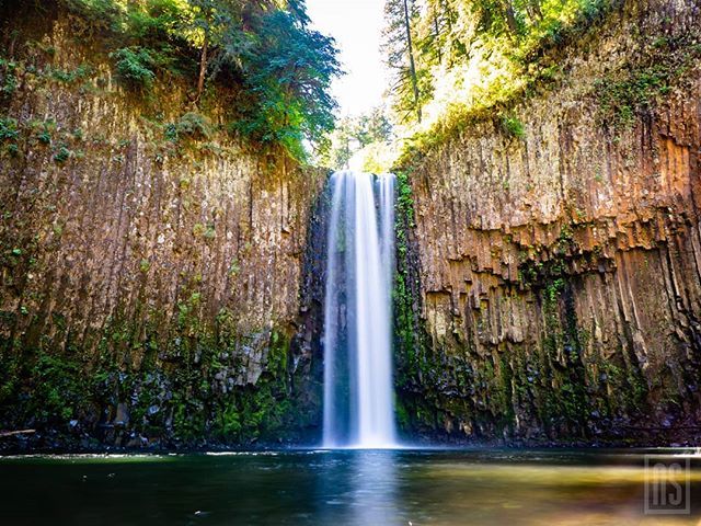 snish28's tweet photo. Abiqua Falls is one of the most scenic waterfalls in Oregon. The 92 foot waterfall isn't the easiest to get to, but the view is worth every bit of the effort
.
.
.
#oregon #oregonisawesome #oregonexplored #pnw #pnwwonderland #pnwisbeautiful #exploreorego… https://t.co/5jVlcqkKVz https://t.co/82ButhxWbh