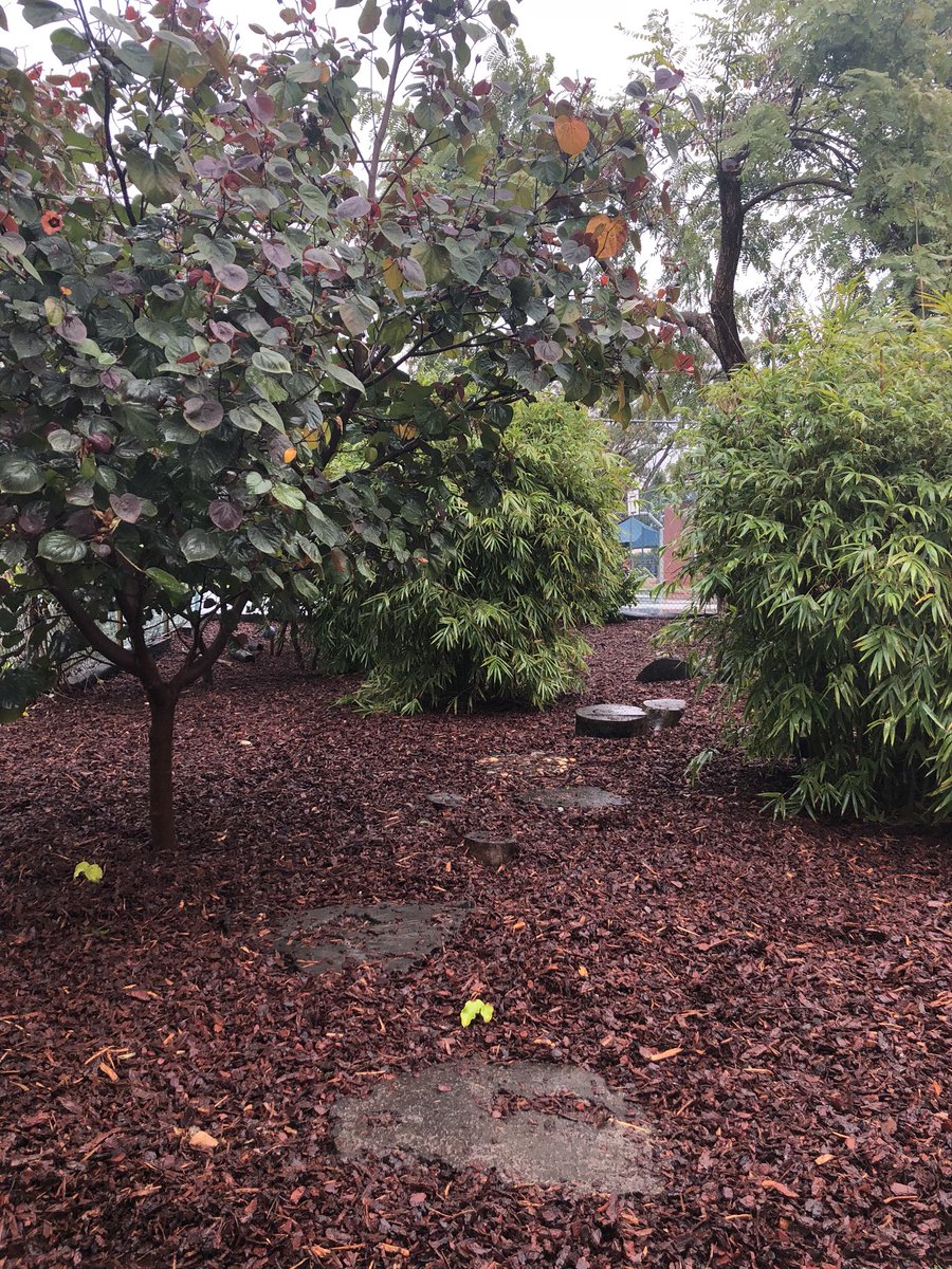 DaveMarshallHG's tweet photo. While the kids are away the ground men can play!! New soft fall and repairs for the Marian Campus these holidays. @NewmanCollegeWA #natureplay #playground #adventureplay #opportunities #surprise https://t.co/iBJAp9vSsE