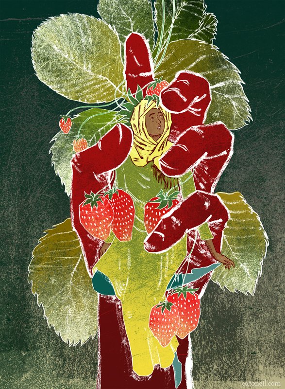 Cat O'Neil tweet media