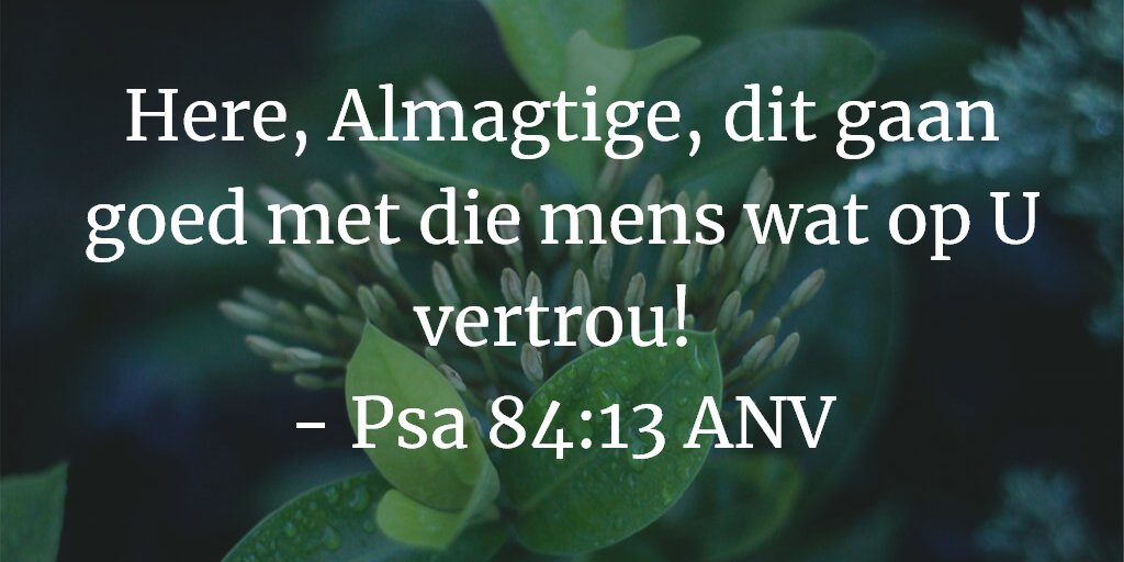 Here, Almagtige, dit gaan goed met die mens wat op U vertrou! 
- Psa 84:13 ANV

#Bybelverse #BibleVerse