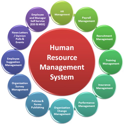 Mindz_Tech's tweet photo. A HRMS (Human Resource Management System) is a combination of systems and processes that connect human resource management and information technology through HR software. A HRMS may help to revolutionize a workplace.

#MindzTechnology #Webdevelopment #SoftwareDevelopment https://t.co/ky9FgQq8pj