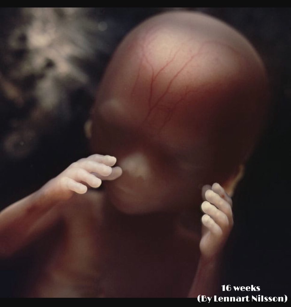 Obianuju Ekeocha tweet media