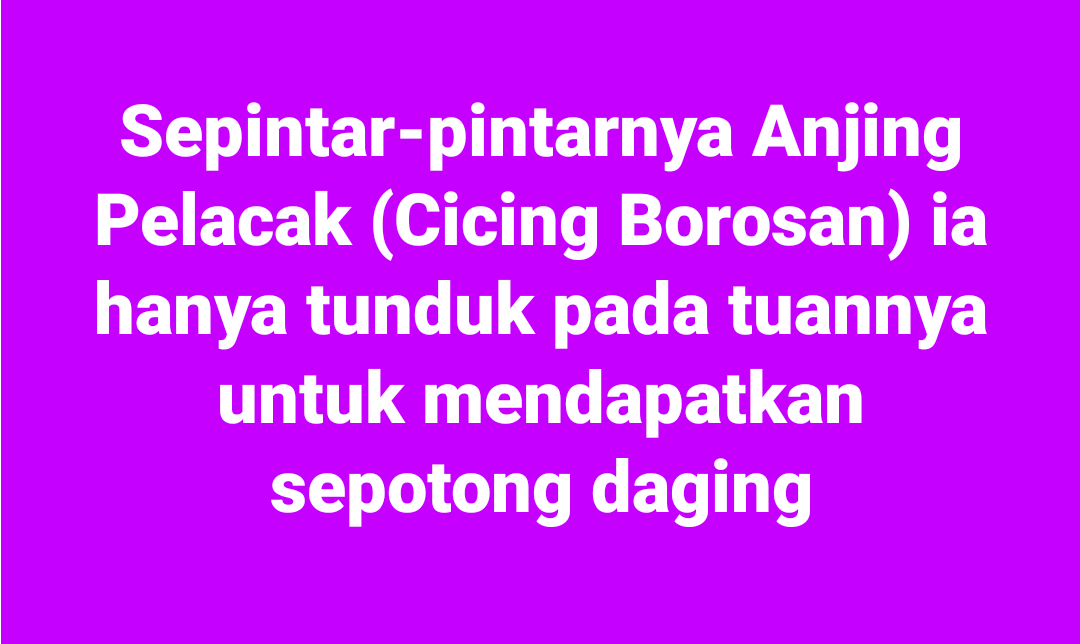 SuantinaMade's tweet photo. https://t.co/qdlTa8zSQo