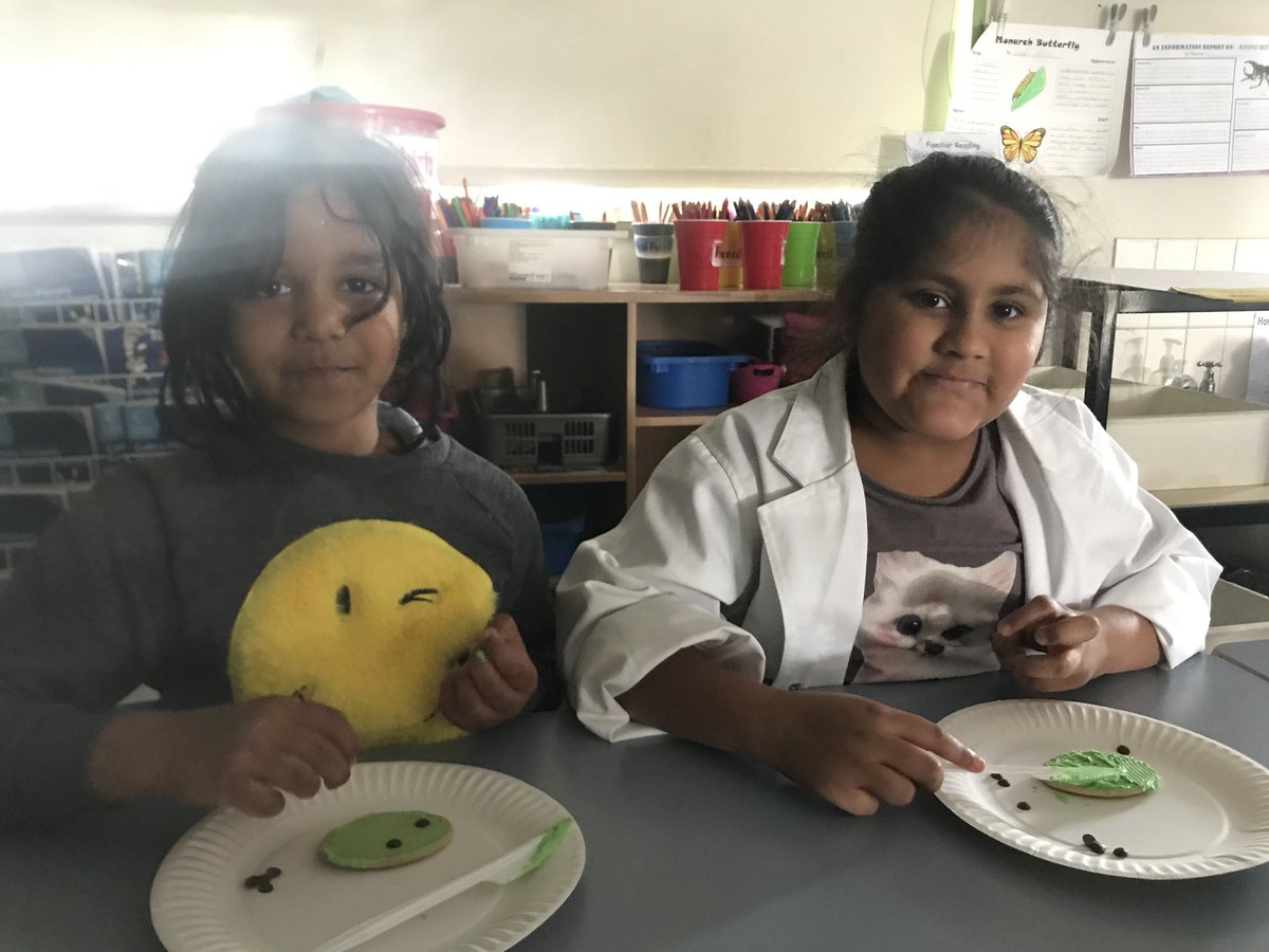 1D and 2/3K making green ladybug cookies! Yum!! <a href="/Minto_P_S/">Minto Public School</a> <a href="/BenoticDebra/">Debra Benotic</a> #insectday