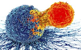 #Immunotherapy research by Dr Andrew Weinberg's lab in partnership with <a href="/agon_ox/">AgonOx</a>  has revealed new insights into tumor-killing T cells which could greatly improve immune responses in cancer patients. Learn more in our <a href="/NatureComms/">Nature Communications</a> article published today:  ht.ly/GBVX30kWx03