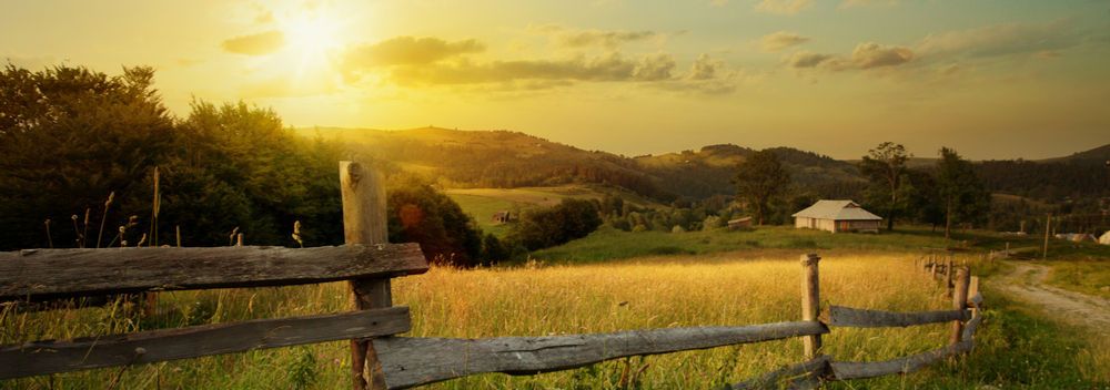 Pi Accountants (@_piaccountant) on Twitter photo The importance of #rural industries post-#Brexit, by Mark Lumsdon-Taylor of Hadlow College buff.ly/2qa8OaB #EU The importance of #rural industries post-#Brexit, by Mark Lumsdon-Taylor of Hadlow College buff.ly/2qa8OaB #EU