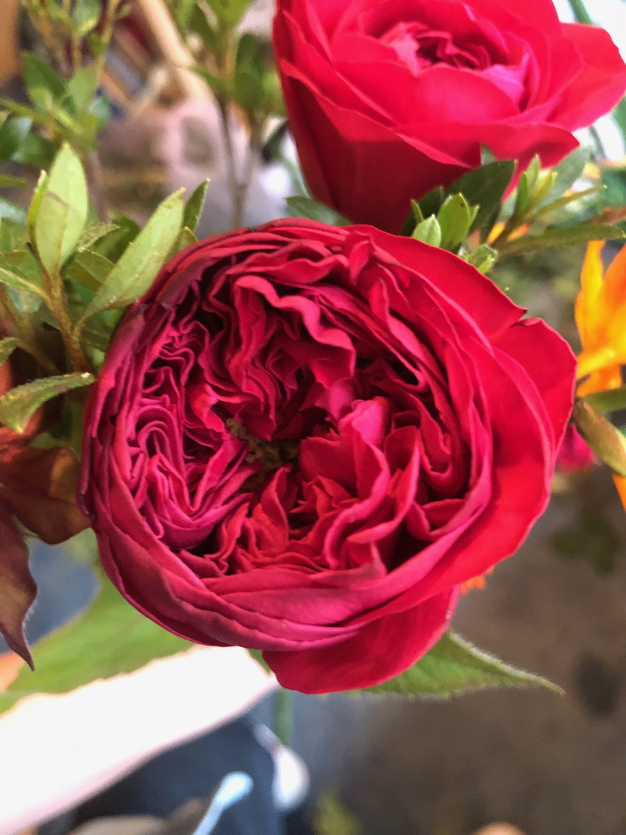 옥수수 (flour_flower_) Twitter