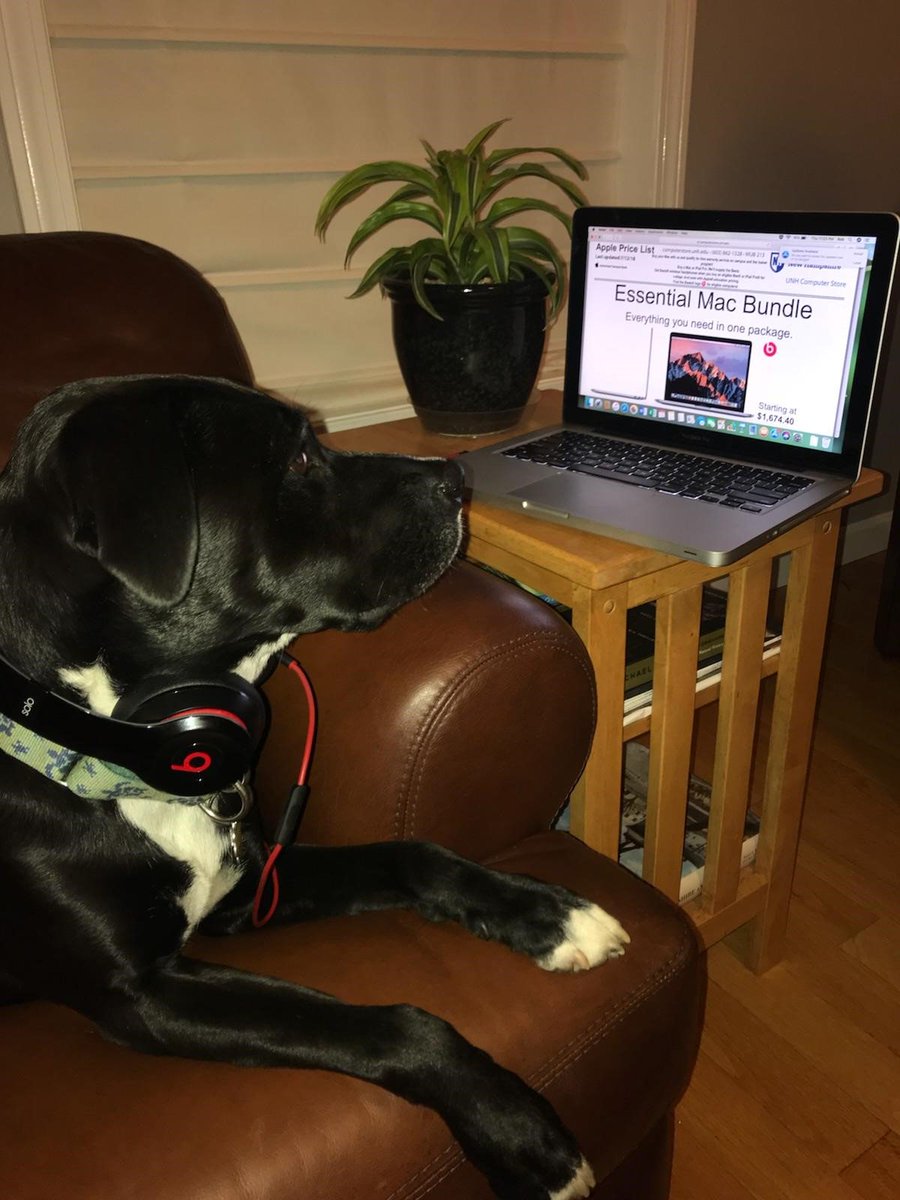 Get Beats® wireless headphones when you buy an eligible Mac® or iPad Pro®. And save more with education pricing. computerstore.unh.edu/applepromo