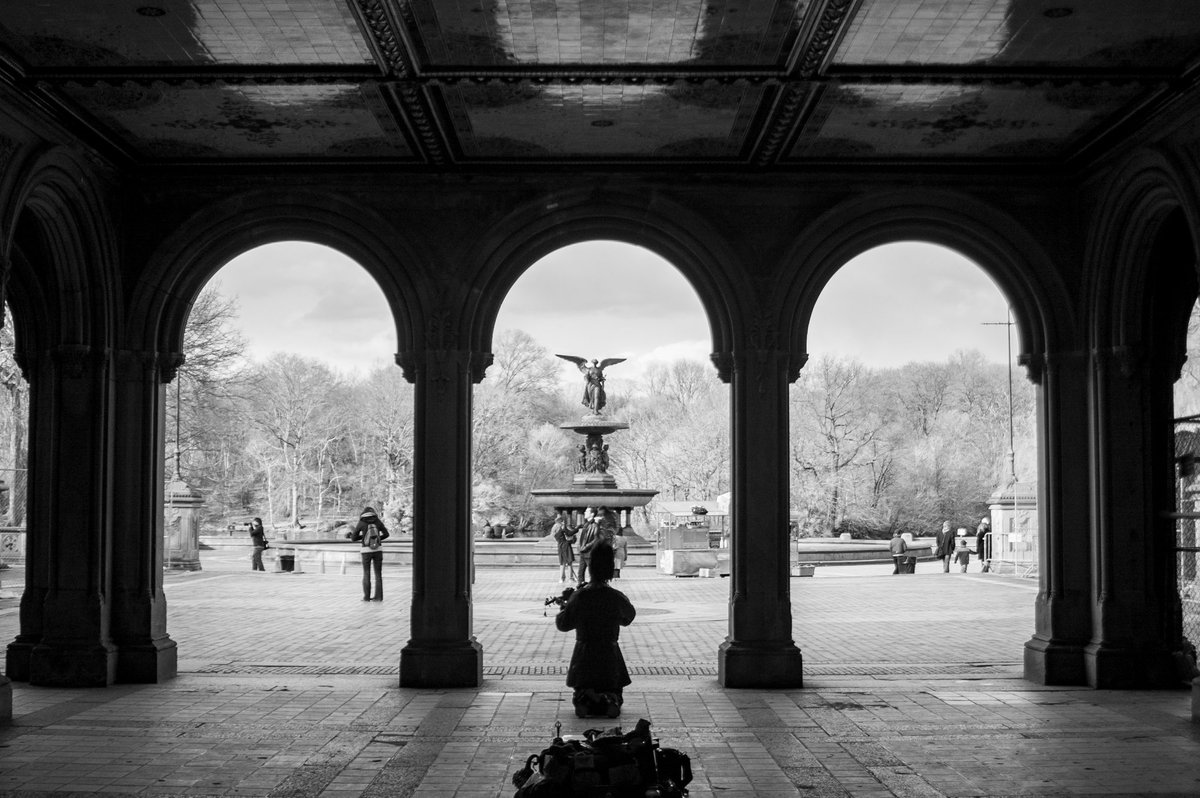 Dalpho's tweet image. Ricordi ed emozioni in uno scatto📷, il delicato suono di un #violino🎻🎶🎼 nella quiete di #CentralPark 🌅🐞🌿

Memories and emotions in one shot📷, the delicate sound of a #violin🎻🎶🎼 in the quiet of #CentralPark 🌅🐞🌿