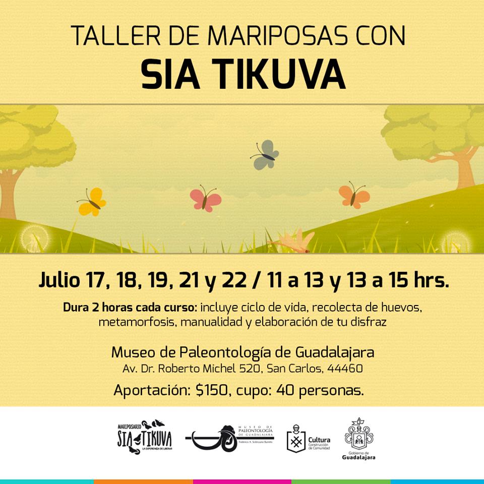 Hay que llenar nuestros fines de semana de planes diferentes. ¿Tu quieres aprender de mariposas?