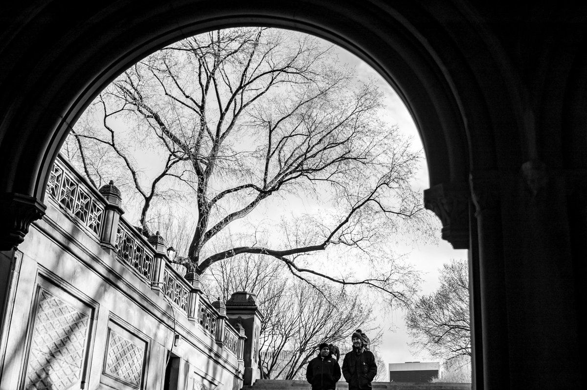 Dalpho's tweet image. Un angolo di #CentralPark 🌅🌿🍀, il polmone verde di #Manhattan 🌃🗽

A corner of #CentralPark 🌅🌿🍀, the green lung of #Manhattan 🌃🗽