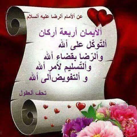 aymanrashed_8's tweet image. 