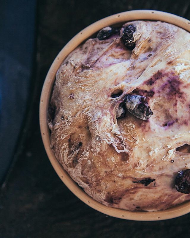 cabinatelier's tweet photo. Oven l’oven. I can’t wait to see this cherry basil sourdough come out of the oven 🍒❤️🔥 this loaf has some special meaning for me... apart from its promise of tastiness- I grew the basil and live amongst the trees I picked these cherries from. You kno… https://t.co/Wtm56FagWe https://t.co/hC0ju4fxJj
