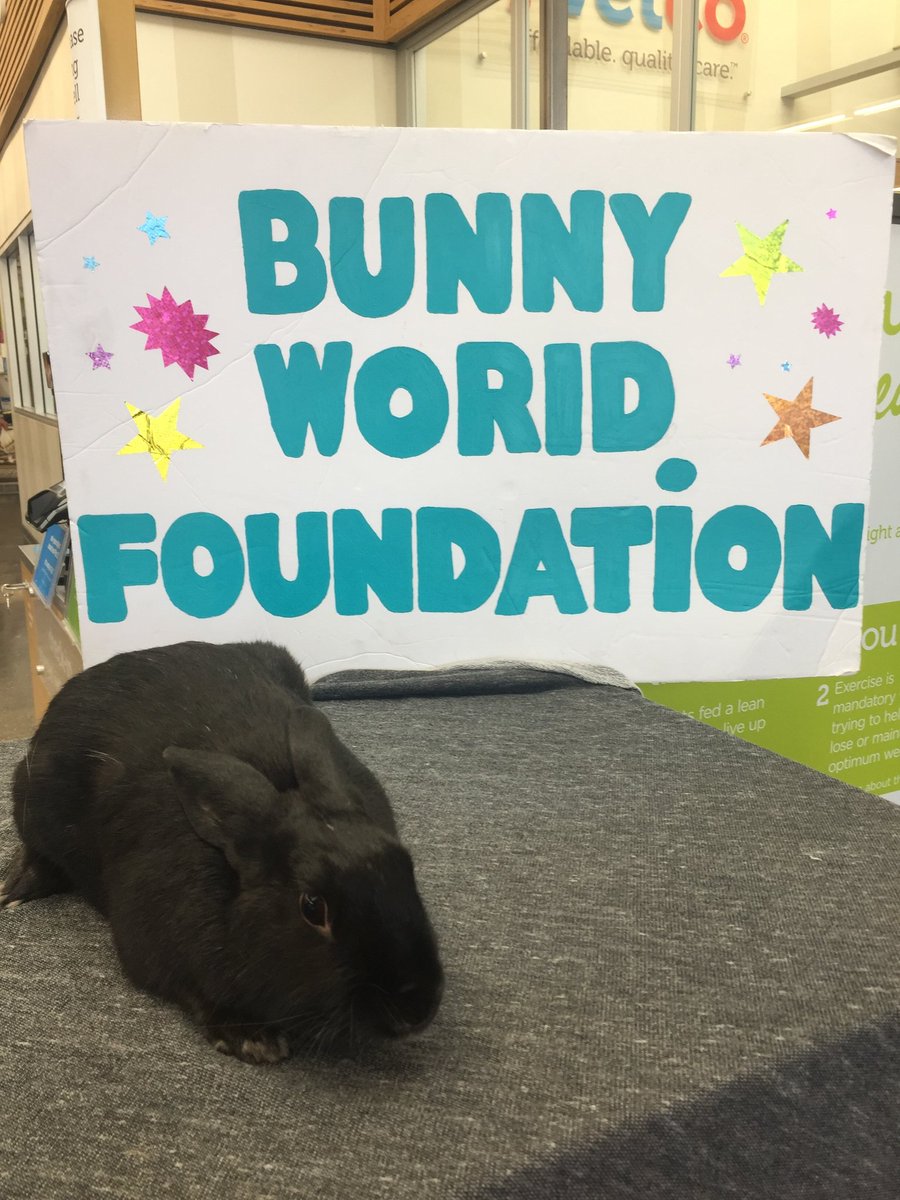 BunnyWorldLA's tweet photo. Tabitha is a #sweet girl looking for her #foreverhome! She was #rescued from a high kill #shelter & now is in a #fosterhome. Will you bring some more #luck into Tabitha's life and #adopt her? Email info@bunnyworldfoundation.org if you are interested in #adopting!
#FridayThe13th https://t.co/jxpgvb0r2F