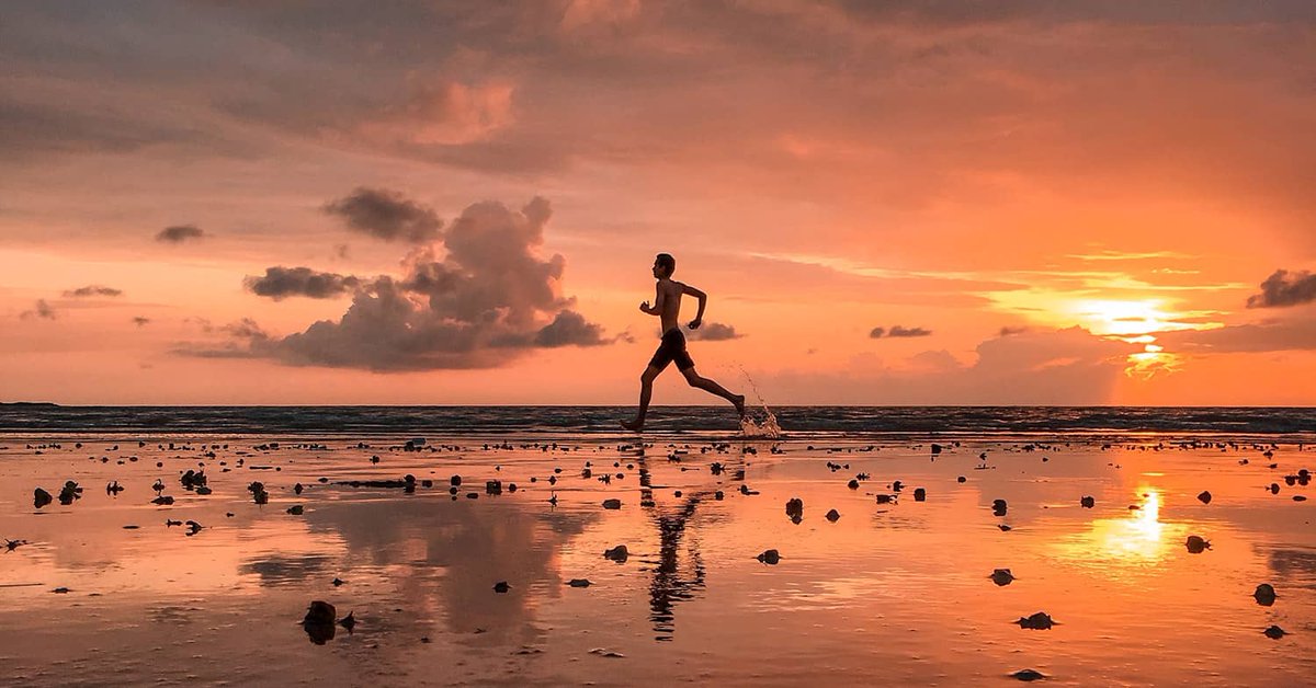 HealersJournal's tweet photo. The 7 Pillars of Health: The Keys to Lifelong Wellness #HolisticHealing #PillarsOfHealth | Find out more here: https://t.co/DURng3ny2Z https://t.co/4y8tMPfZgM